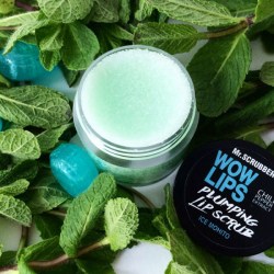 Скраб для губ «мохито» Mr.Scrubber Plumping Lip Scrab Wow Lips Ice Mohito Киев